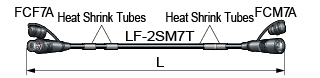 FCC**-7T-draw