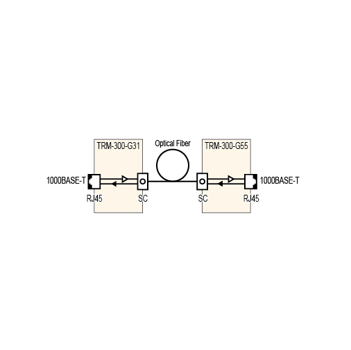 Block Diagram of TRM-300A-** and TRM-300-**